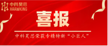 喜報！中科昊芯榮獲國家級專精特新“小巨人”企業稱号