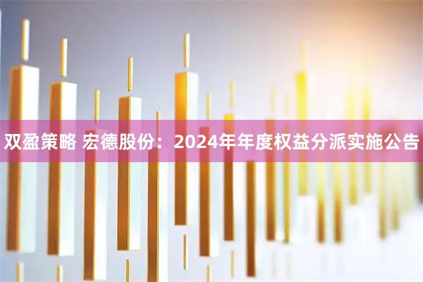双盈策略 宏德股份：2024年年度权益分派实施公告