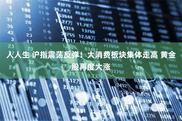 人人生 沪指震荡反弹！大消费板块集体走高 黄金股再度大涨