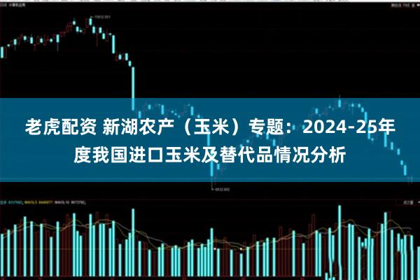 老虎配资 新湖农产（玉米）专题：2024-25年度我国进口玉米及替代品情况分析