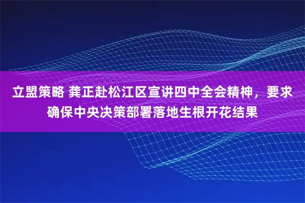 立盟策略 龚正赴松江区宣讲四中全会精神，要求确保中央决策部署落地生根开花结果