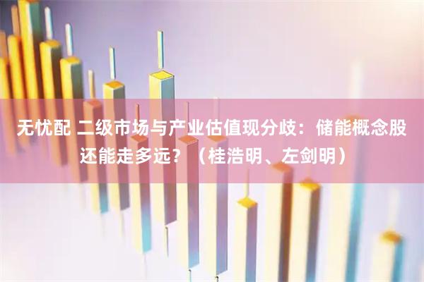 无忧配 二级市场与产业估值现分歧：储能概念股还能走多远？（桂浩明、左剑明）