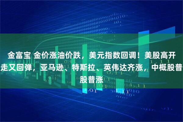 金富宝 金价涨油价跌，美元指数回调！美股高开低走又回弹，亚马逊、特斯拉、英伟达齐涨，中概股普涨