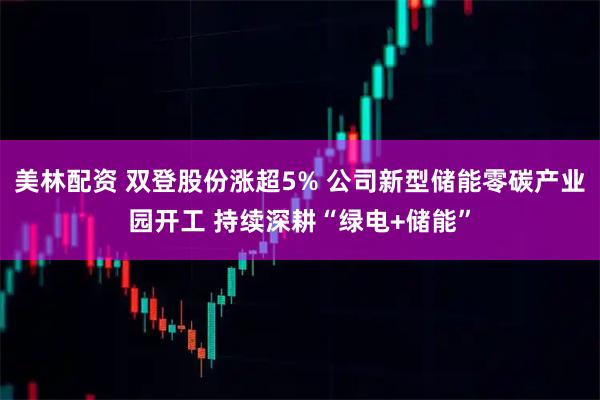 美林配资 双登股份涨超5% 公司新型储能零碳产业园开工 持续深耕“绿电+储能”